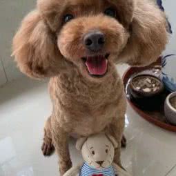 莎莎堂宠物生活馆:深圳市龙岗区罗岗/求水山附近