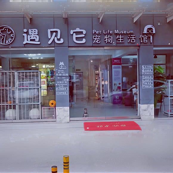遇见它宠物生活馆:深圳市龙岗区横岗附近