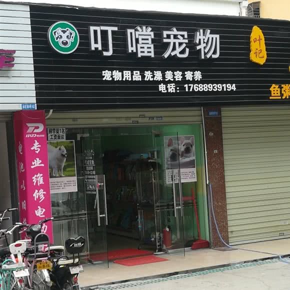 叮噹宠物(龙岗大道店):深圳市龙岗区横岗附近