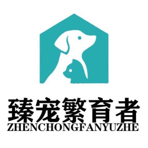 臻宠繁育者:深圳市龙岗区横岗附近