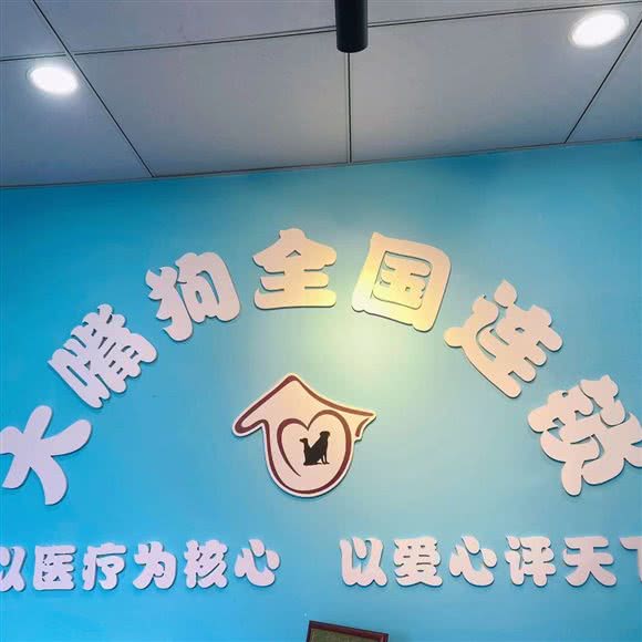 酷派宠物诊所(横岗店):深圳市龙岗区横岗附近