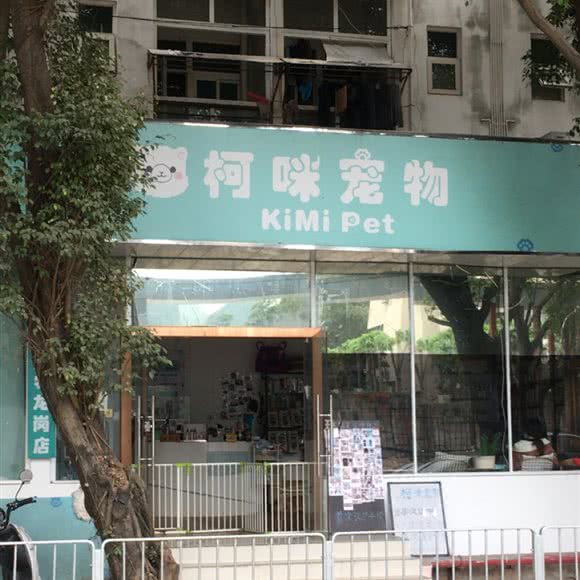 柯咪宠物(龙岗店):深圳市龙岗区大运附近