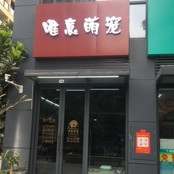 唯意萌宠:深圳市龙岗区大运附近
