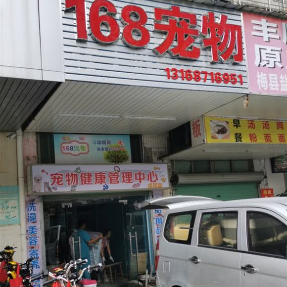 168宠物:深圳市龙岗区大运附近
