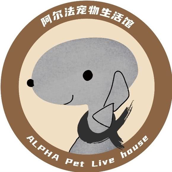 阿尔法狗狗:深圳市龙岗区大运附近