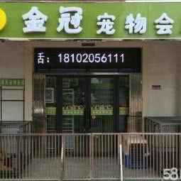 金久宠物医院:天津城区武清区武清区附近