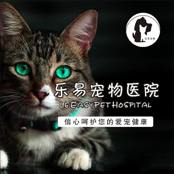 乐易宠物诊所?24小时:深圳市龙岗区大运附近
