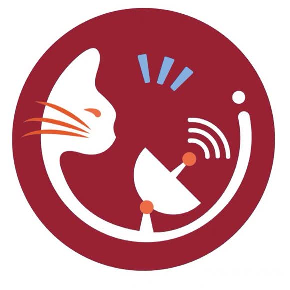 猫文台·宠物猫馆:深圳市龙岗区平湖附近