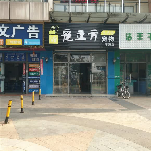 优基宠立方宠物生活馆(平湖店):深圳市龙岗区平湖附近