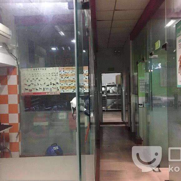 艾帝斯宠物医院(平湖店):深圳市龙岗区平湖附近