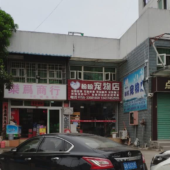 盼盼宠物店:深圳市龙岗区坪地附近