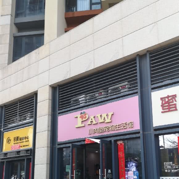 小肉垫宠物生活馆:深圳市龙岗区岗头/雪象附近