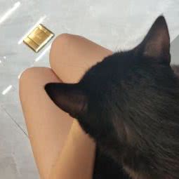 优乐宠物诊所:深圳市龙岗区岗头/雪象附近