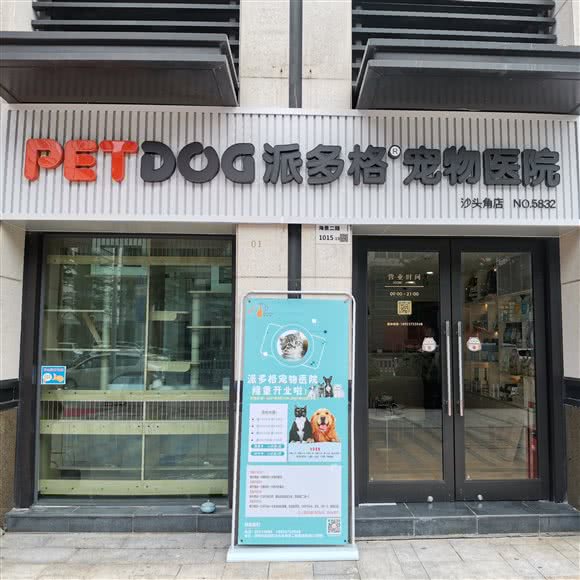 PET DOG 派多格宠物医院(沙头角店):深圳市盐田区沙头角附近