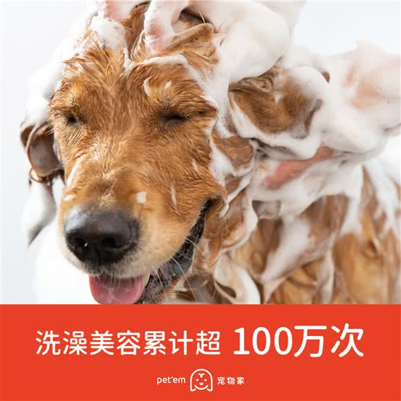 宠物家(绿景公馆店):深圳市龙华区民治附近