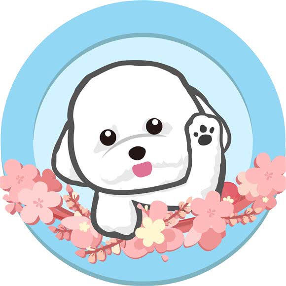 宠时光PETTIME·宠物生活馆:深圳市龙华区民治附近