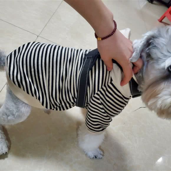 遇见萌友宠物生活馆(百易广场店):深圳市龙华区民治附近