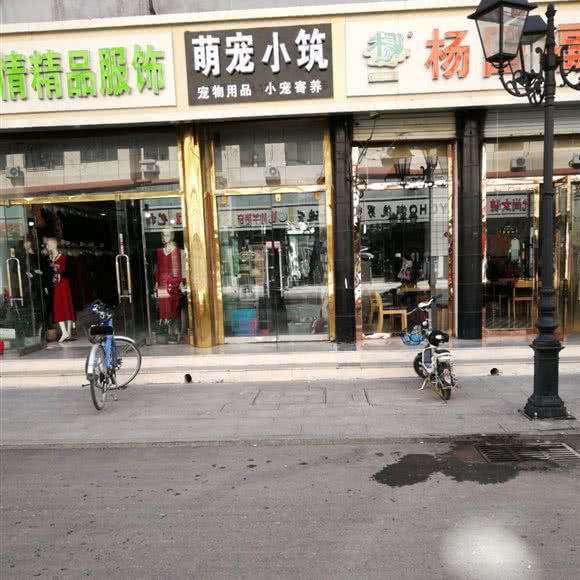 萌宠小筑:天津城区宝坻区宝坻区附近