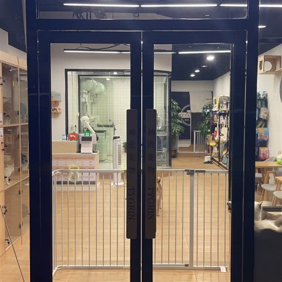 袖虎狗狗:深圳市龙华区民治附近