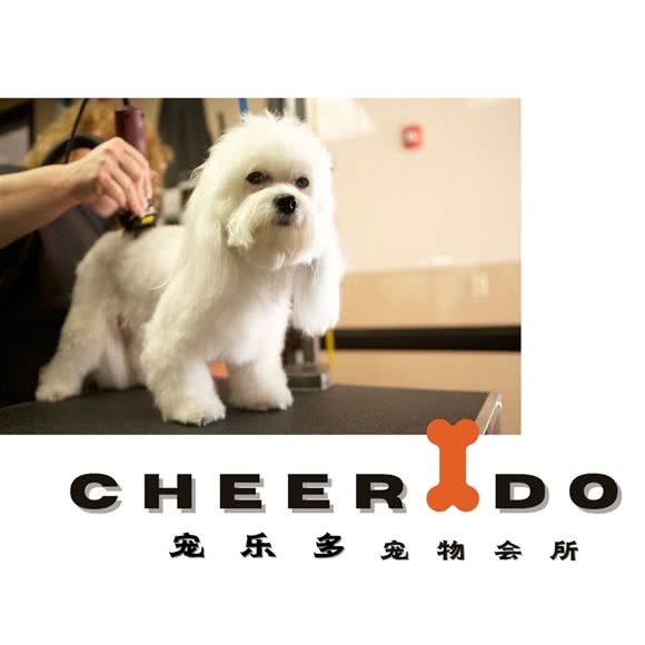 宠乐多 CHEERIDO 宠物会所(金地梅陇镇店):深圳市龙华区民治附近
