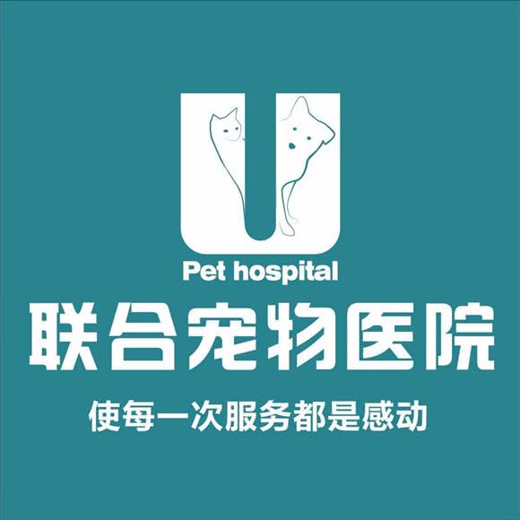联合宠物医院(深圳民治分院):深圳市龙华区民治附近