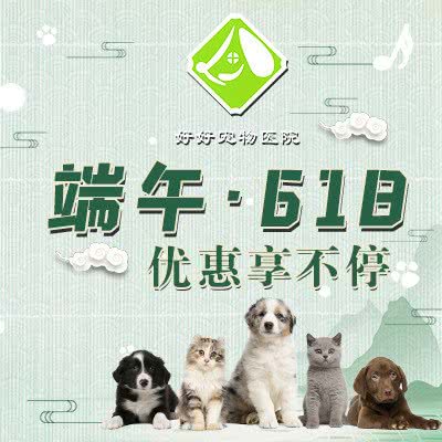 好好宠物医院总院:深圳市龙华区民治附近