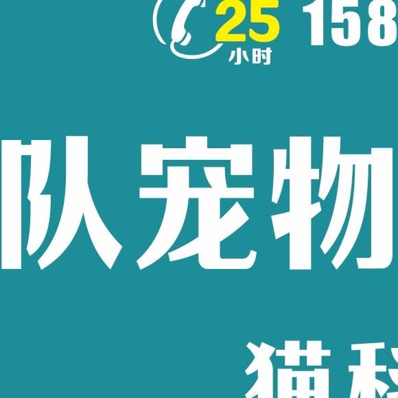 狗仔队宠物诊所:深圳市龙华区民治附近