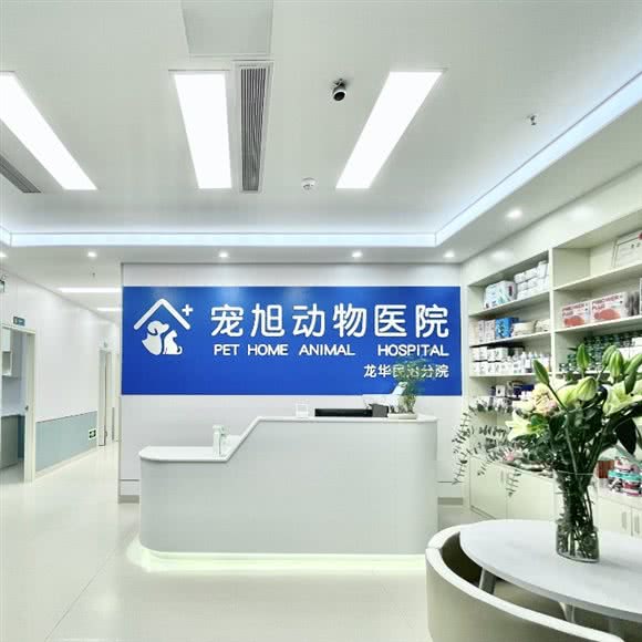 宠旭动物医院:深圳市龙华区民治附近