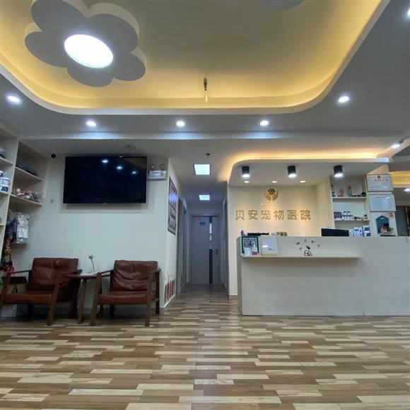 贝安宠物医院:深圳市龙华区民治附近