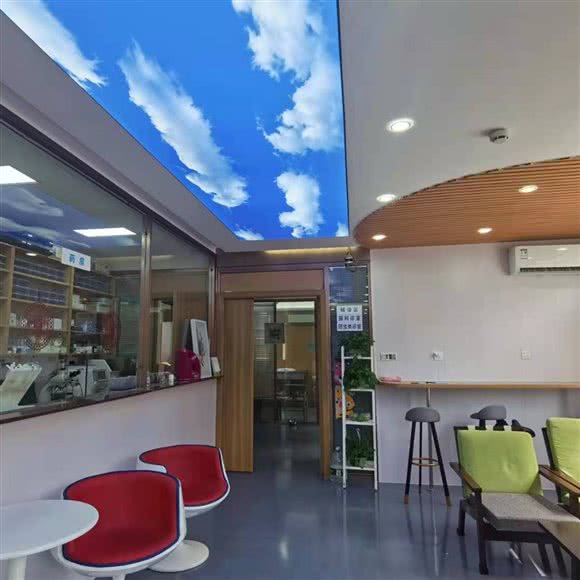 爱恬宠物医院民治店(民治店):深圳市龙华区民治附近