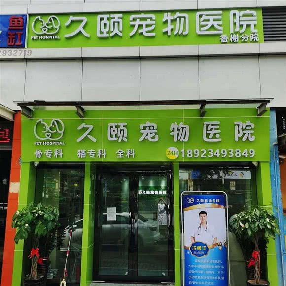 久颐宠物医院:深圳市龙华区民治附近
