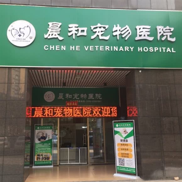 晨和宠物医院:深圳市龙华区民治附近