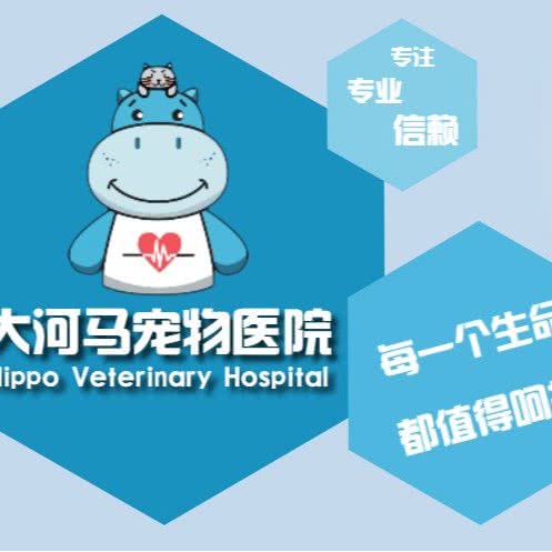 大河马宠物医院(总院):深圳市龙华区龙华附近