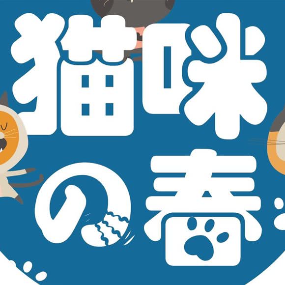 猫咪之春宠物店:深圳市龙华区龙华附近