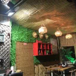 比利宠物乐园:深圳市龙华区龙华附近