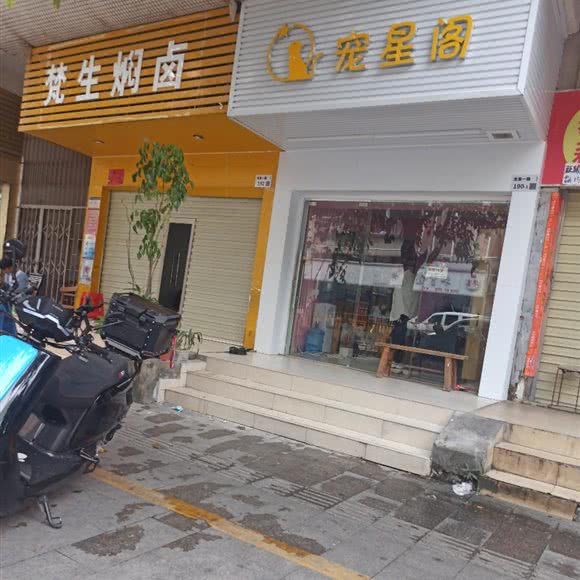 宠星阁宠物店:深圳市龙华区龙华附近
