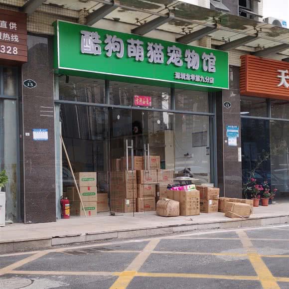 酷狗萌猫宠物馆(深圳龙华第九分店):深圳市龙华区龙华附近