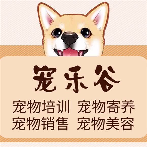 深圳市龙华区宠乐谷宠物中心:深圳市龙华区龙华附近