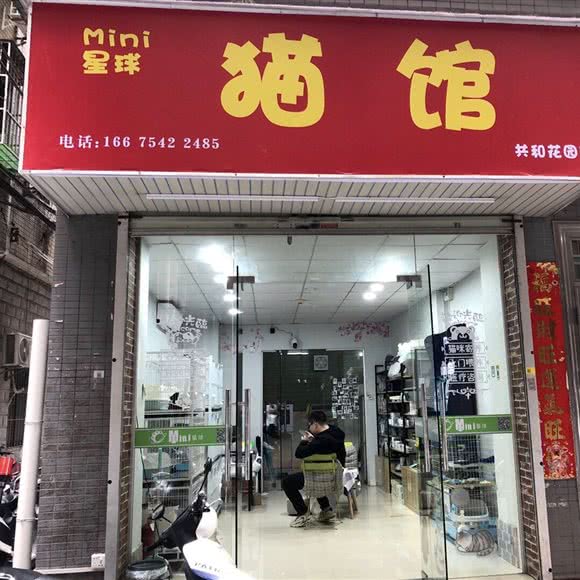 Mini 星球猫馆(共和花园店):深圳市龙华区龙华附近