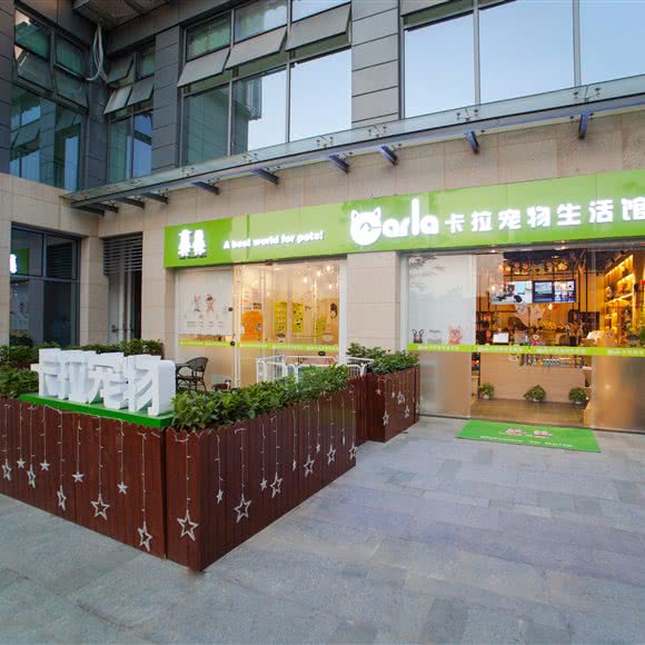 付付宠物生活馆(龙华壹城店):深圳市龙华区龙华附近