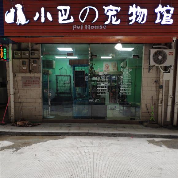 小巴宠物馆:深圳市龙华区龙华附近