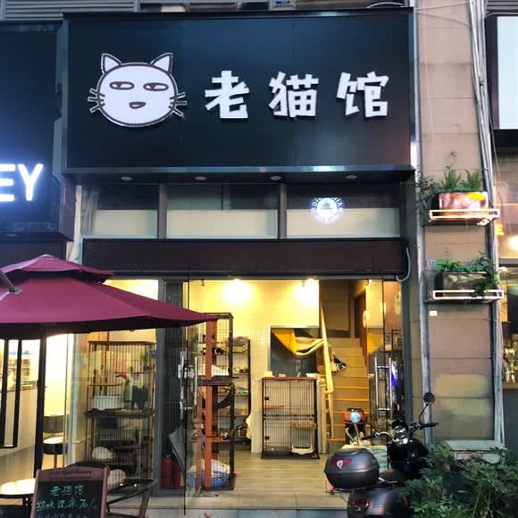 老猫馆:深圳市龙华区龙华附近