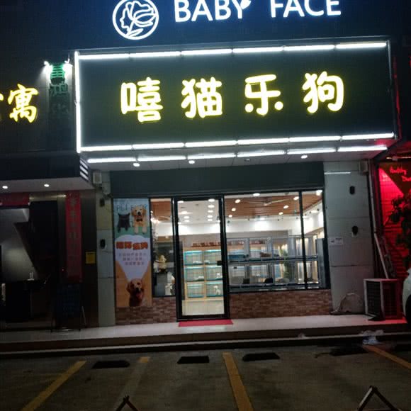 嘻猫乐猴子:深圳市龙华区龙华附近