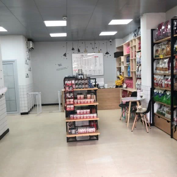 派多格宠物(龙华店):深圳市龙华区龙华附近