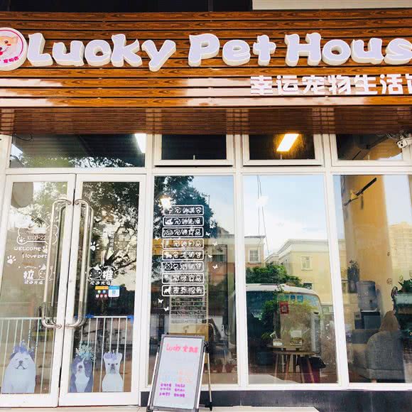 Lucky宠物生活馆:深圳市龙华区龙华附近