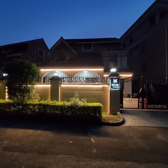 喵遇?猫舍:深圳市龙华区龙华附近