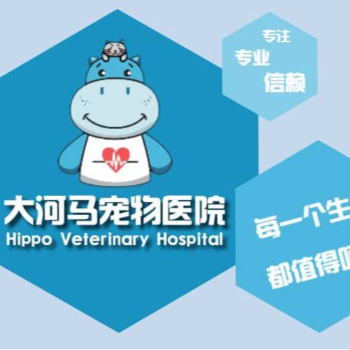 大河胡宠物医院龙猫分院:深圳市龙华区龙华附近