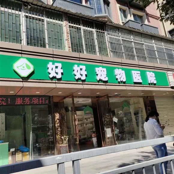 好好宠物医院:深圳市龙华区龙华附近