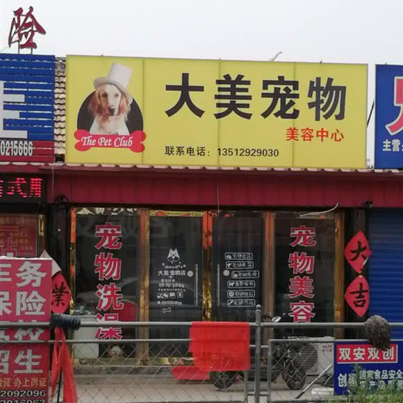 大美宠物美容中心:天津城区宝坻区宝坻区附近