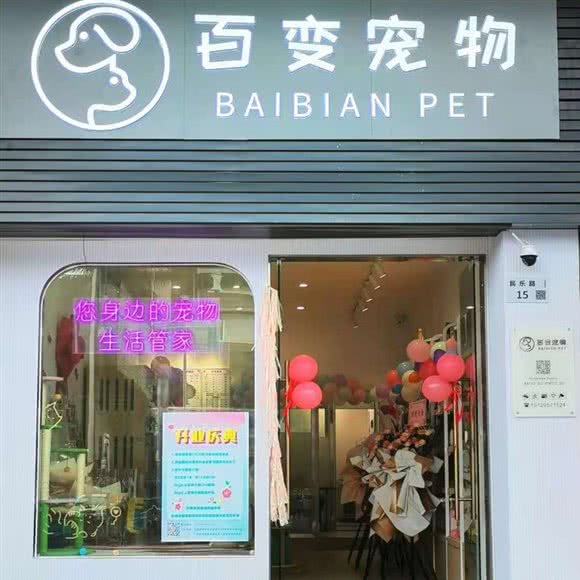 百变狗狗:深圳市龙华区梅林关附近